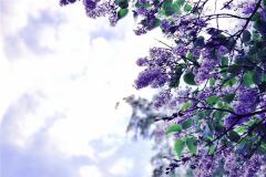 天干己的性格特点