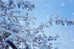梦见下大雪