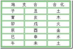 地支六合