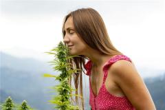 金牛座女生性格特点