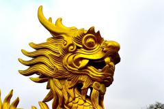 属龙人十龙九苦的原因